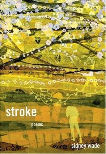Tapa de Stroke