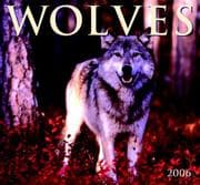 Tapa de Wolves 2006 Wall Calendar