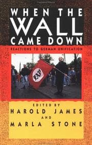 Tapa de When the Wall Came Down