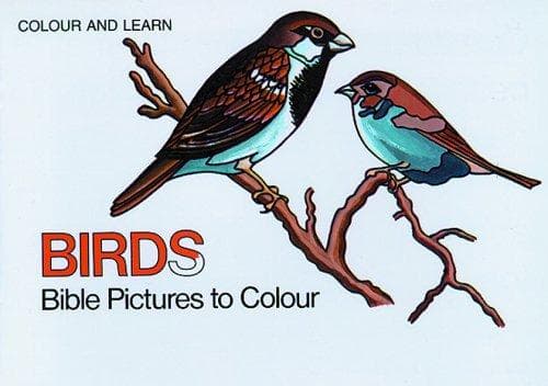 Tapa de Bible Birds (Colour & Learn)