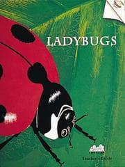 Tapa de Ladybugs