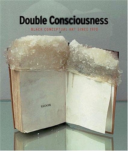 Tapa de Double consciousness