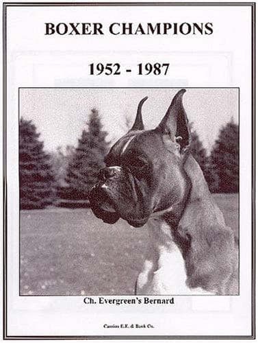 Tapa de Boxer Champions, 1952-1987