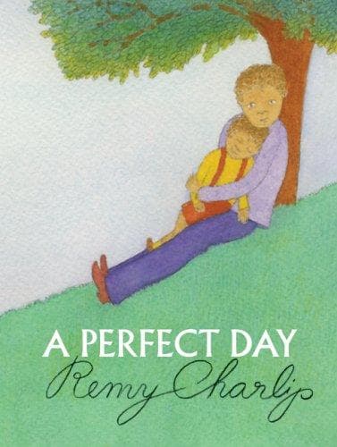 Tapa de A perfect day