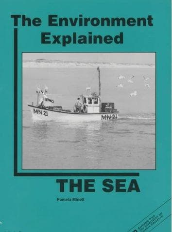 Tapa de The Sea (Environment Explained)