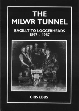 Tapa de The Milwr Tunnel