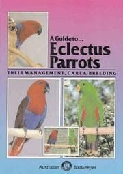Tapa de A Guide To Eclectus Parrots