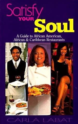 Tapa de Satisfy Your Soul