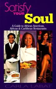 Tapa de Satisfy Your Soul