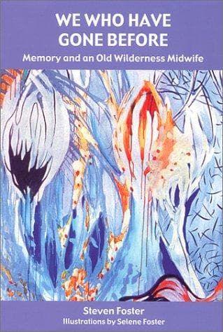 Tapa de We Who Have Gone Before