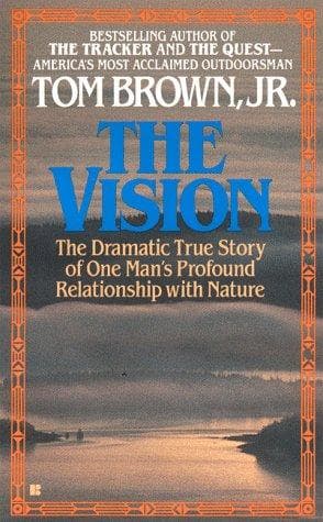 Tapa de The Vision