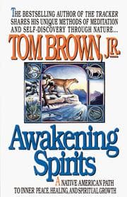 Tapa de Awakening spirits