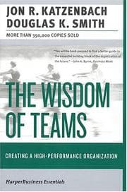 Tapa de The wisdom of teams