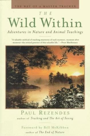 Tapa de The Wild Within