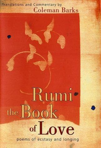 Tapa de Rumi