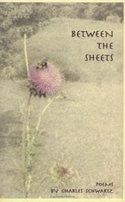Tapa de Between the Sheets