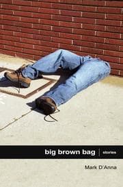 Tapa de Big Brown Bag