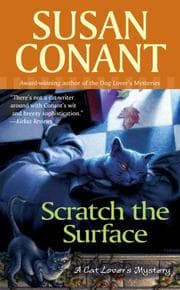 Tapa de Scratch the surface