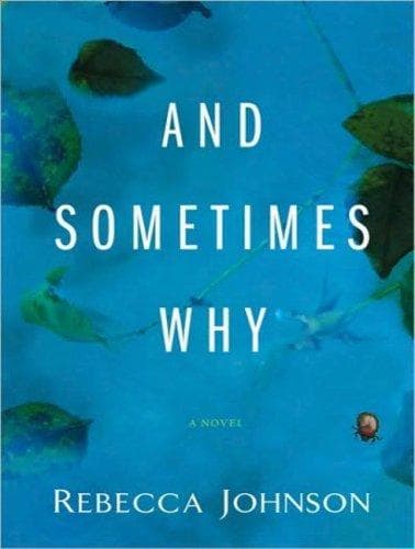 Tapa de And Sometimes Why