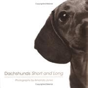 Tapa de Dachshunds Short and Long