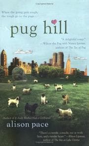 Tapa de Pug Hill