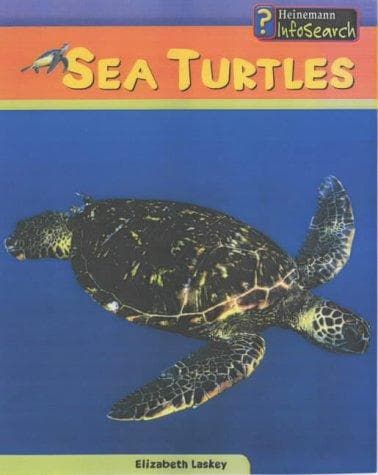 Tapa de Sea turtles