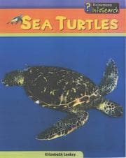 Tapa de Sea turtles