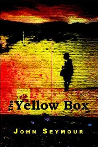 Tapa de The Yellow Box