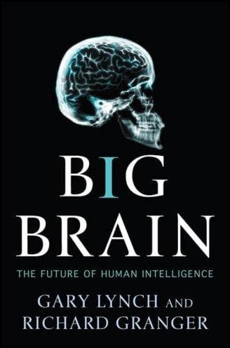 Tapa de Big Brain