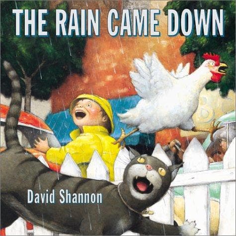 Tapa de The rain came down