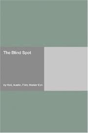 Tapa de The Blind Spot