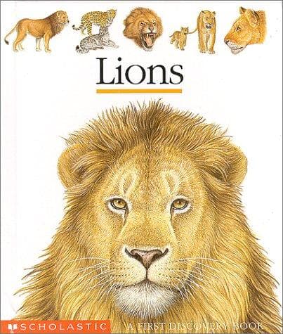 Tapa de Lions