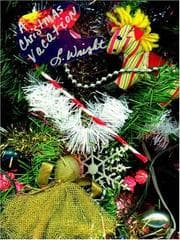 Tapa de A Christmas Vacation