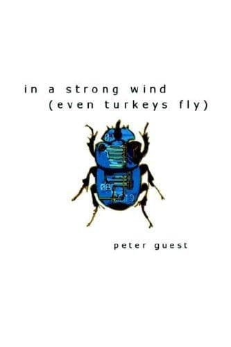 Tapa de In a Strong Wind (Even Turkeys Fly)