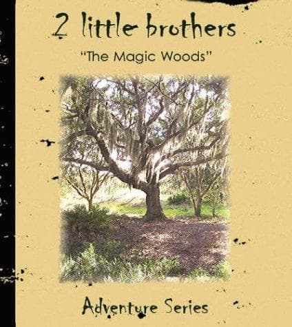Tapa de The Magic Woods