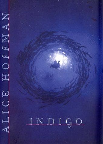 Tapa de Indigo