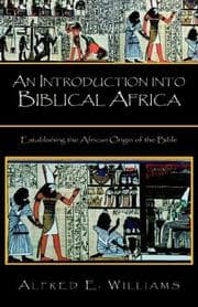 Tapa de An Introduction into Biblical Africa