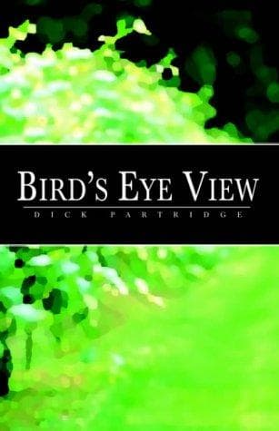 Tapa de Bird's Eye View