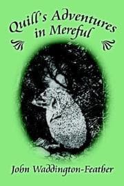 Tapa de Quill's Adventures in Mereful