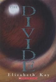 Tapa de Divide (The Divide)