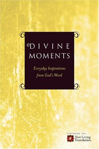 Tapa de Divine moments