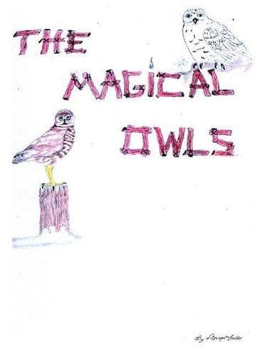 Tapa de The Magical Owls
