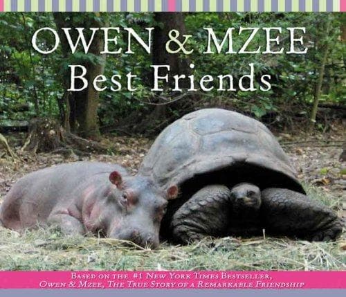 Tapa de Owen & Mzee