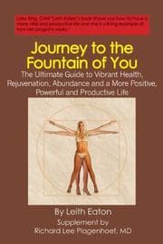 Tapa de Journey to the Fountain of You