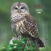 Tapa de Owls 2008 Square Wall Calendar