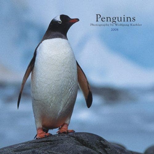Tapa de Penguins 2008 Square Wall Calendar