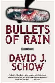 Tapa de Bullets of rain