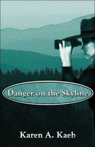 Tapa de Danger on the Skyline