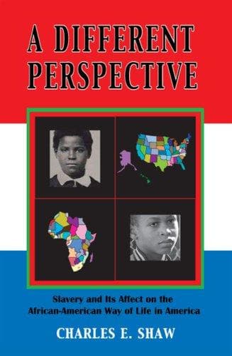 Tapa de A Different Perspective