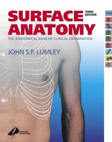 Tapa de Surface anatomy